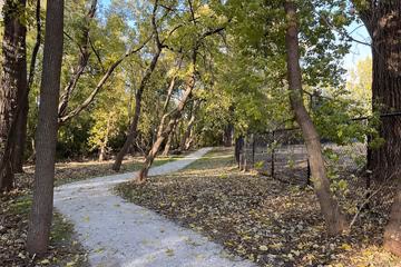 Hillcrest Dog Park